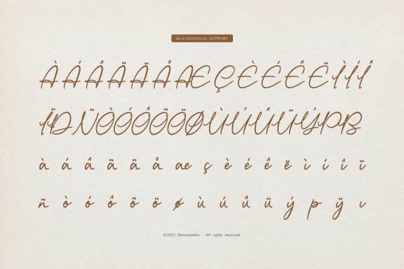 Day Dreaming | Script Handwritten