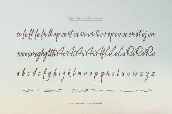 Daily Miracle | Script Handwritten