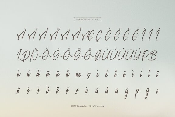 Daily Miracle | Script Handwritten