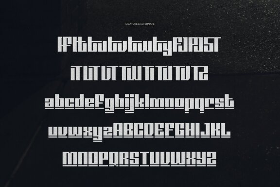 Doxy Bold | Display Geometric Sans