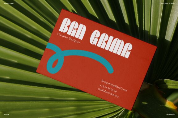 Manke Larky | Bold Display Sans
