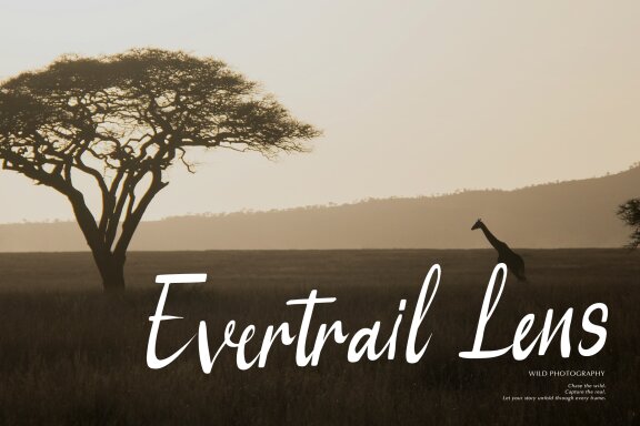 Serena Note | Casual Handwritten Font