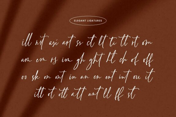 Rainylight – Handwriting Script