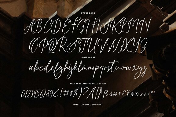 Rainylight – Handwriting Script