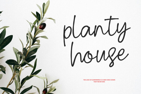 Akrasse Memorial Handwritten Script Font