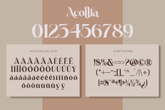 Acollia | Serif Display