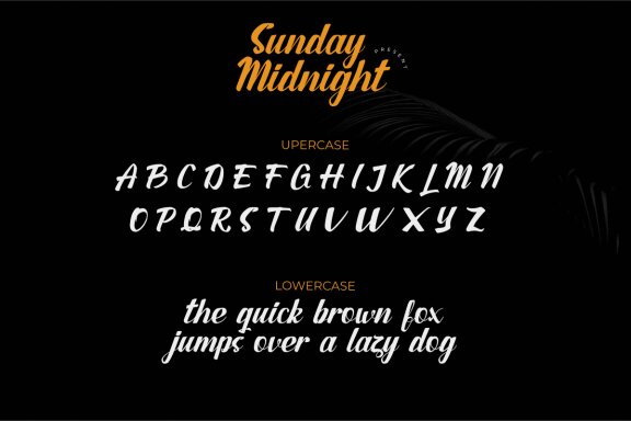 Sunday Midnight | Handwritten Script Font