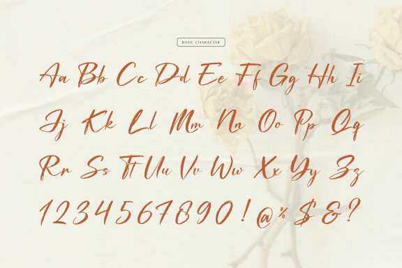 Waiting Cassey | Handwritten Script Font