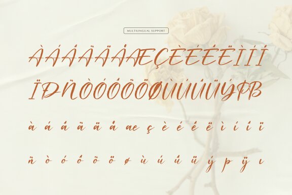 Waiting Cassey | Handwritten Script Font