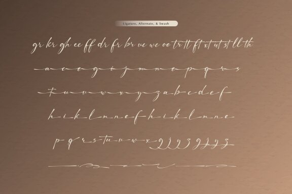 Pustaka Kinandy | Handwritten Script
