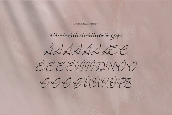 Dohemika | Handwritten Script