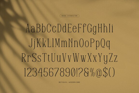 Reftoliya | Modern Serif Font