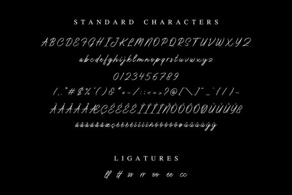 Don Carlitto - Elegant Signature Font