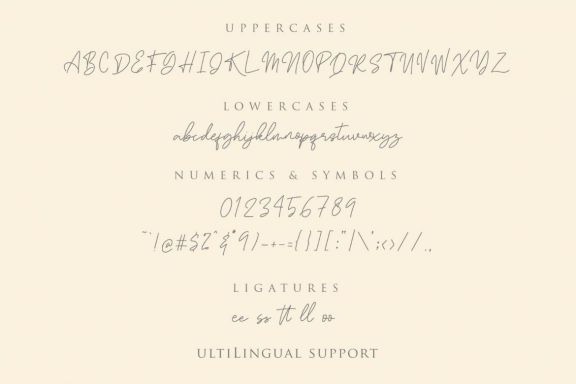 Attahost - Simple & Elegant Signature