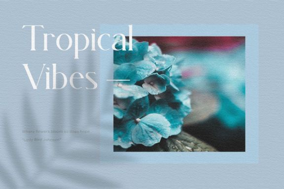 MAGNITA - Serif Font Typeface