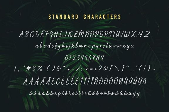 Highnorth - Handmade Marker Font