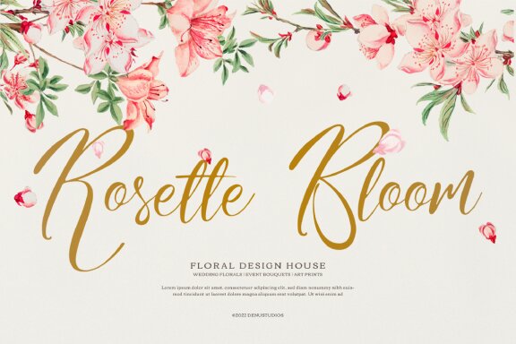 Featured Item from Deeezy.com