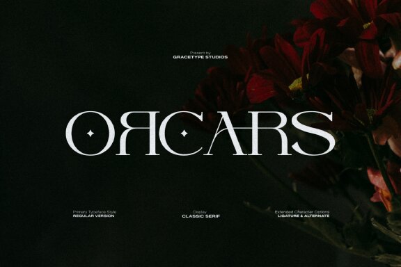 Featured Item from Deeezy.com