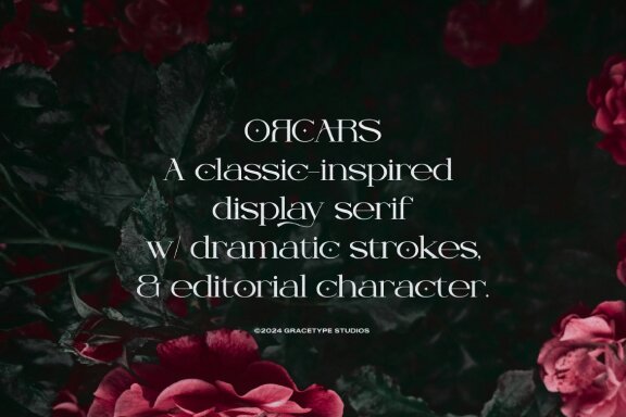 Featured Item from Deeezy.com