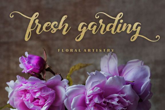 Sabryne Script Font