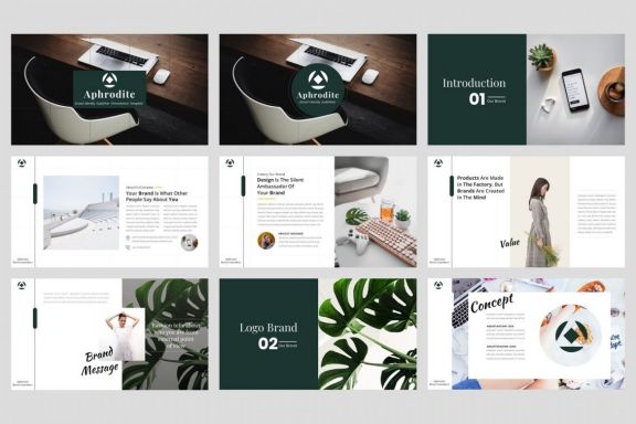 Brand Identity Guideline PowerPoint Template