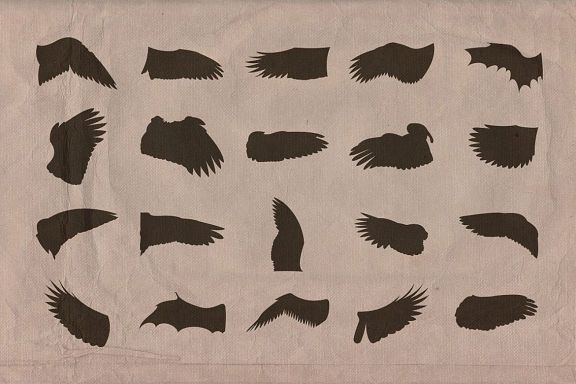 Retro & Vintage Shapes - Wings 2