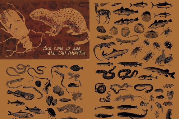Vintage Animals Vectors