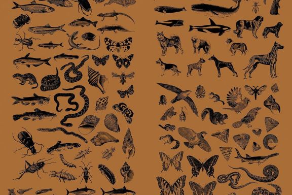 Vintage Animals Vectors