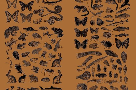 Vintage Animals Vectors