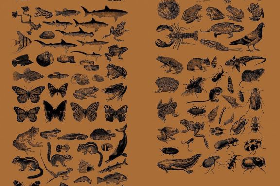 Vintage Animals Vectors