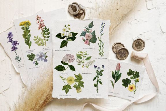 Beautiful vintage floral illustrations set 