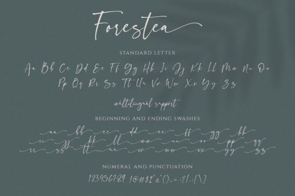 Forestea - Classy Script