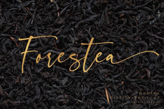 Forestea - Classy Script