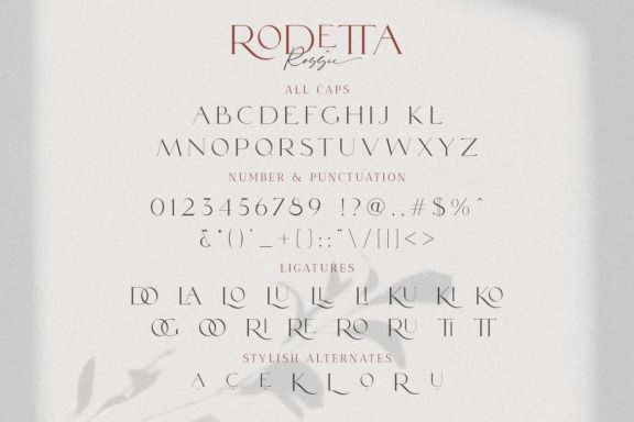 Rodetta Rossie Font Duo + Logos