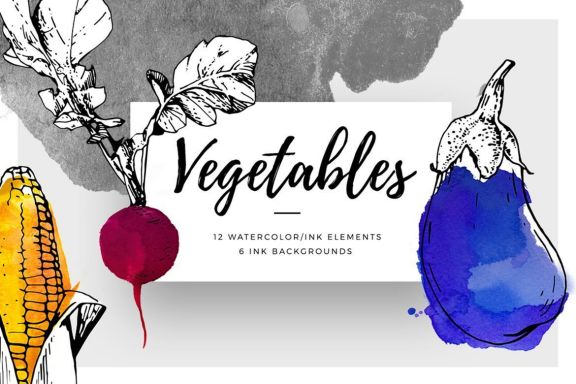 Ink Watercolour Vegetables