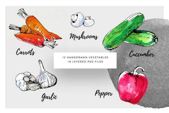 Ink Watercolour Vegetables