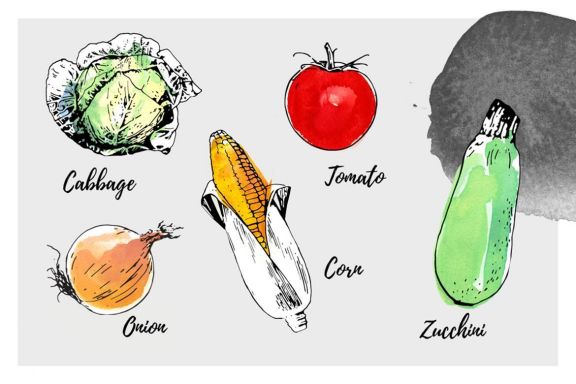 Ink Watercolour Vegetables