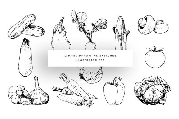 Ink Watercolour Vegetables