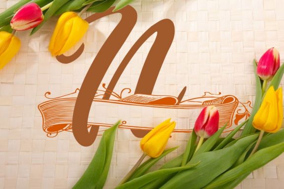 Monogram Letter N