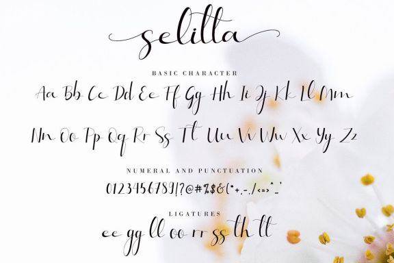 Selitta
