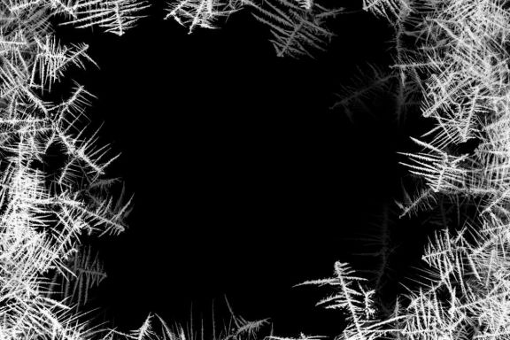 Freeze Photoshop Stamp Brushes