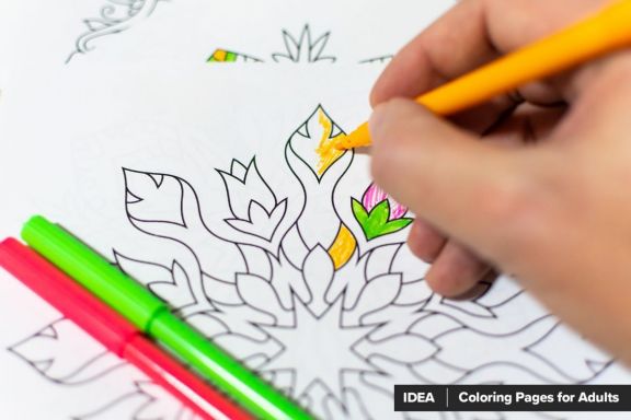 Mandala Vector Ornaments Bundle