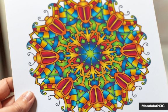 Mandala Vector Ornaments Bundle