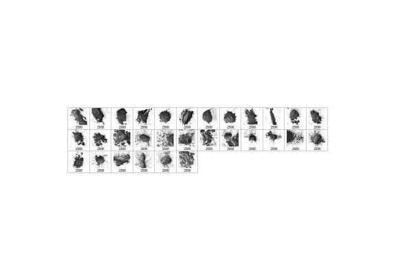 Flour Photoshop Stamp Brushes