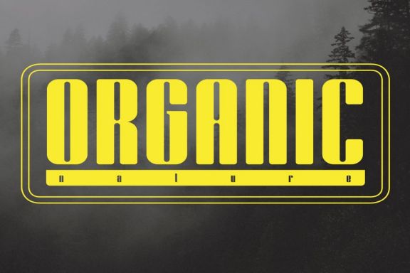 Bornco Display Font