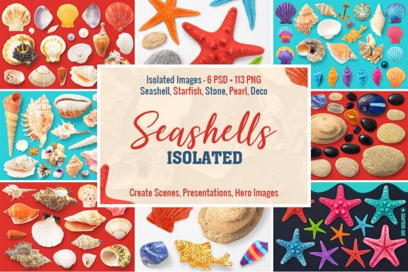 Isolated Seashells & Stones