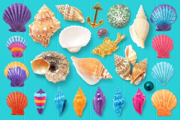 Isolated Seashells & Stones
