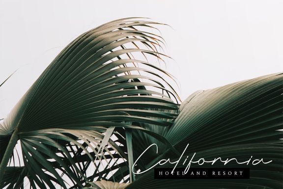 Rationale - Clean Signature