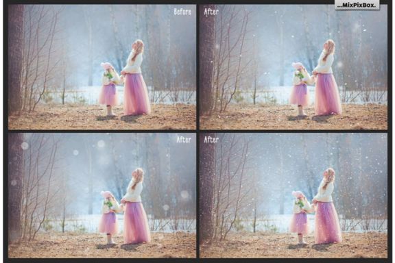 Natural Snow Overlays