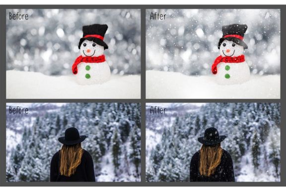 Natural Snow Overlays